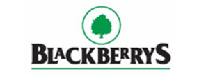 Blackberrys logo with green tree icon